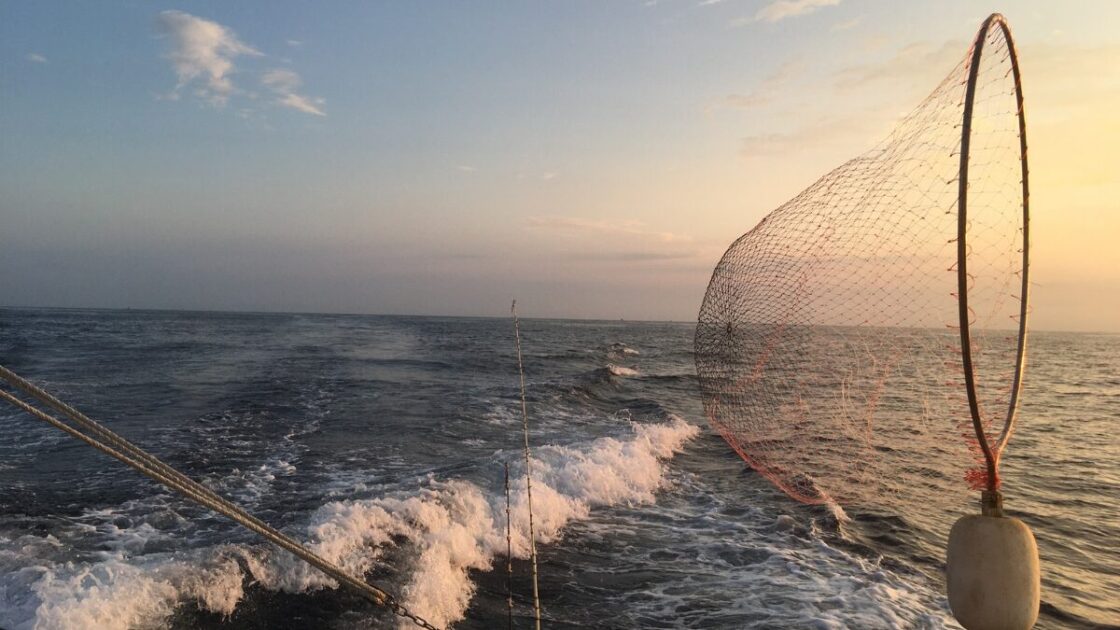 沖釣り