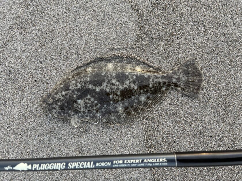 ufmウエダのプラッキングスペシャルをご紹介！おそらく読んだ人しか