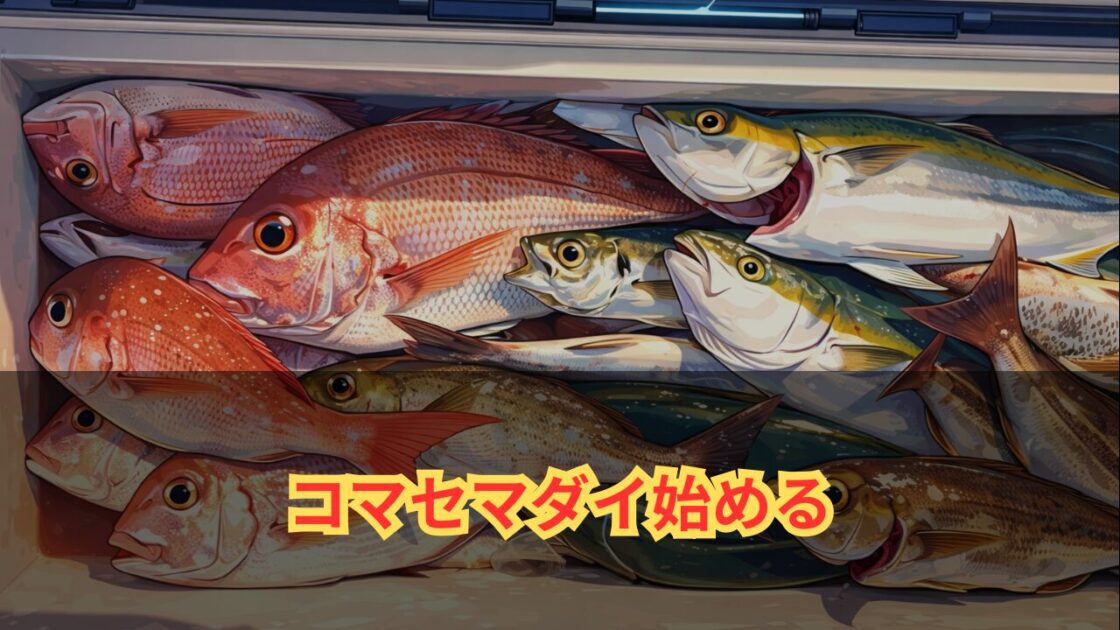 コマセマダイ始める方